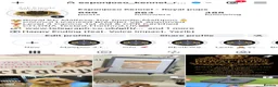 Toy Poodle dogs for stud: 🔥One-in-a-Million teddy Asian toy poodle DNA Stud - Advert 3