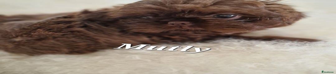 MUTLY 