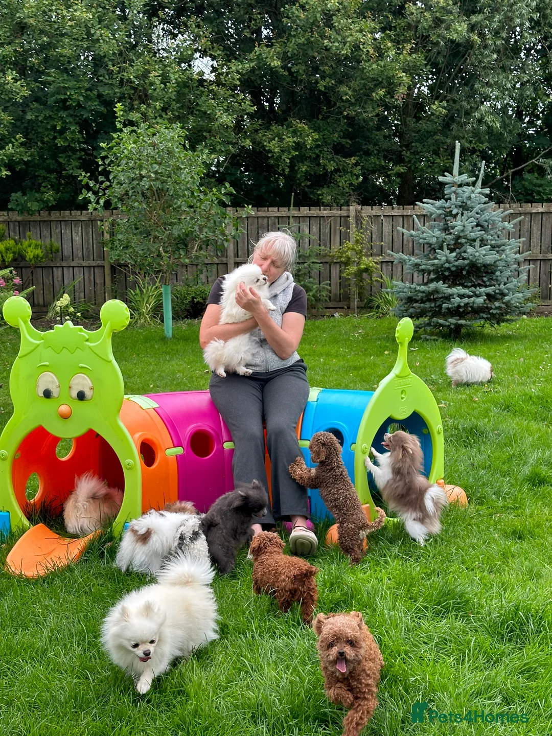 Gallery Image {{count}}