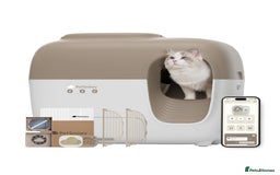 Domestic Shorthair cats for sale: Petsnowy Snow Premium+ Automatic Litter Box  - Image 1