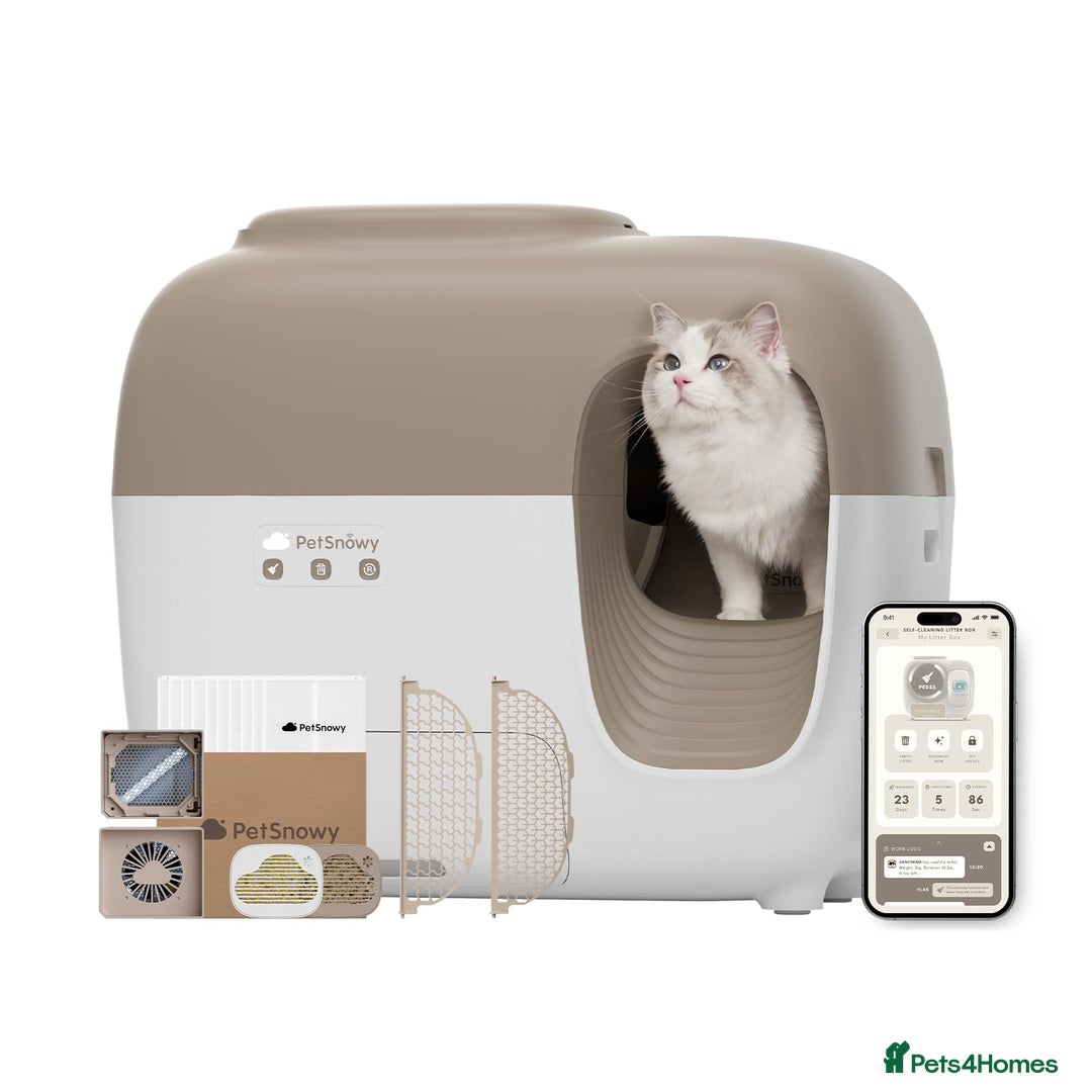 Domestic Shorthair cats for sale: Petsnowy Snow Premium+ Automatic Litter Box  - Image 1