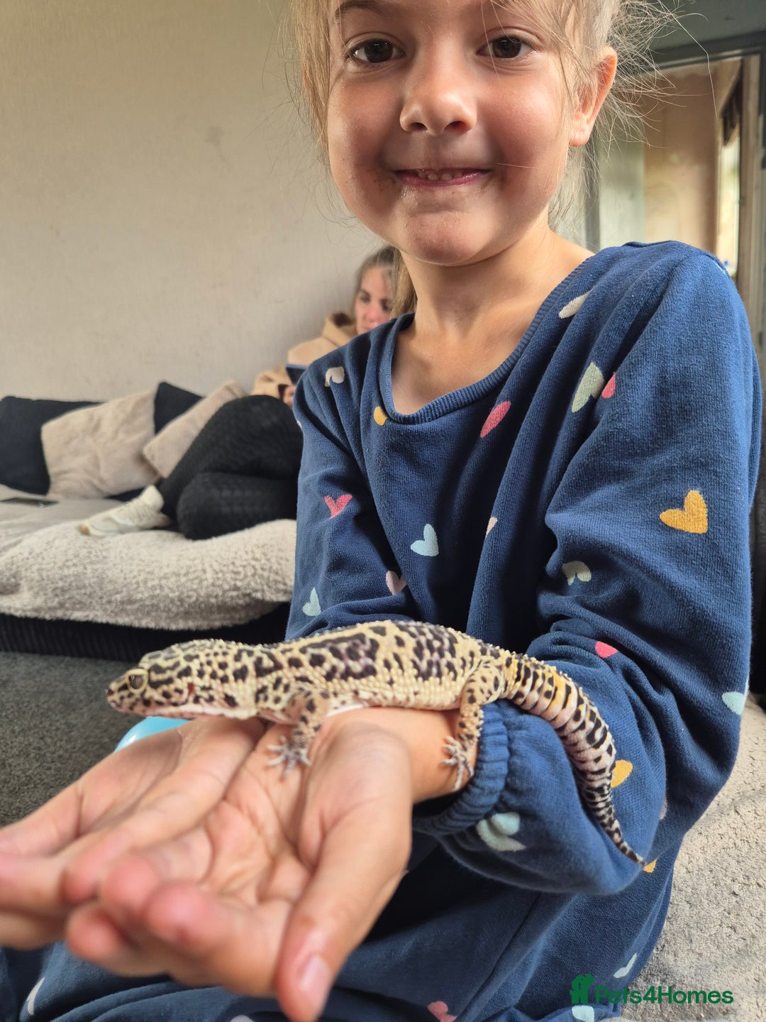 Gecko reptiles for sale: Lovely hand tame leopard gecko - Image 1