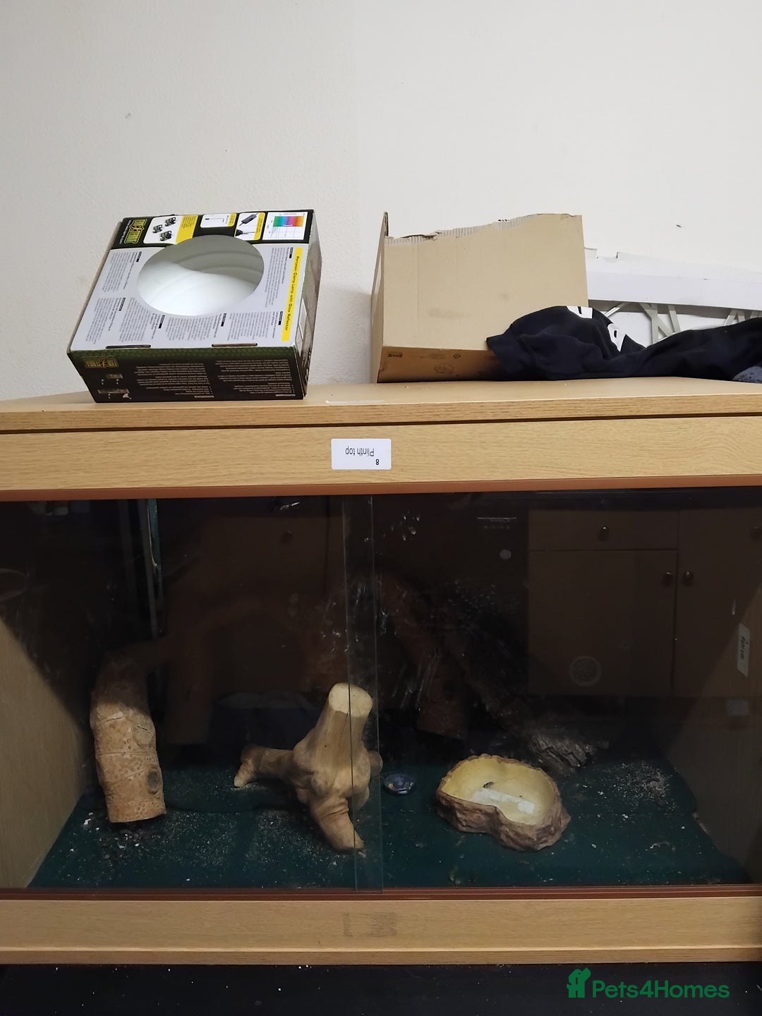 Mixed Breed reptiles for sale: Viv and lights - Advert 2