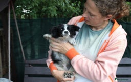 Mixed Breed dogs for adoption: 💖🐶 LOLLY & JOLIE 🐶💖 - Image 17