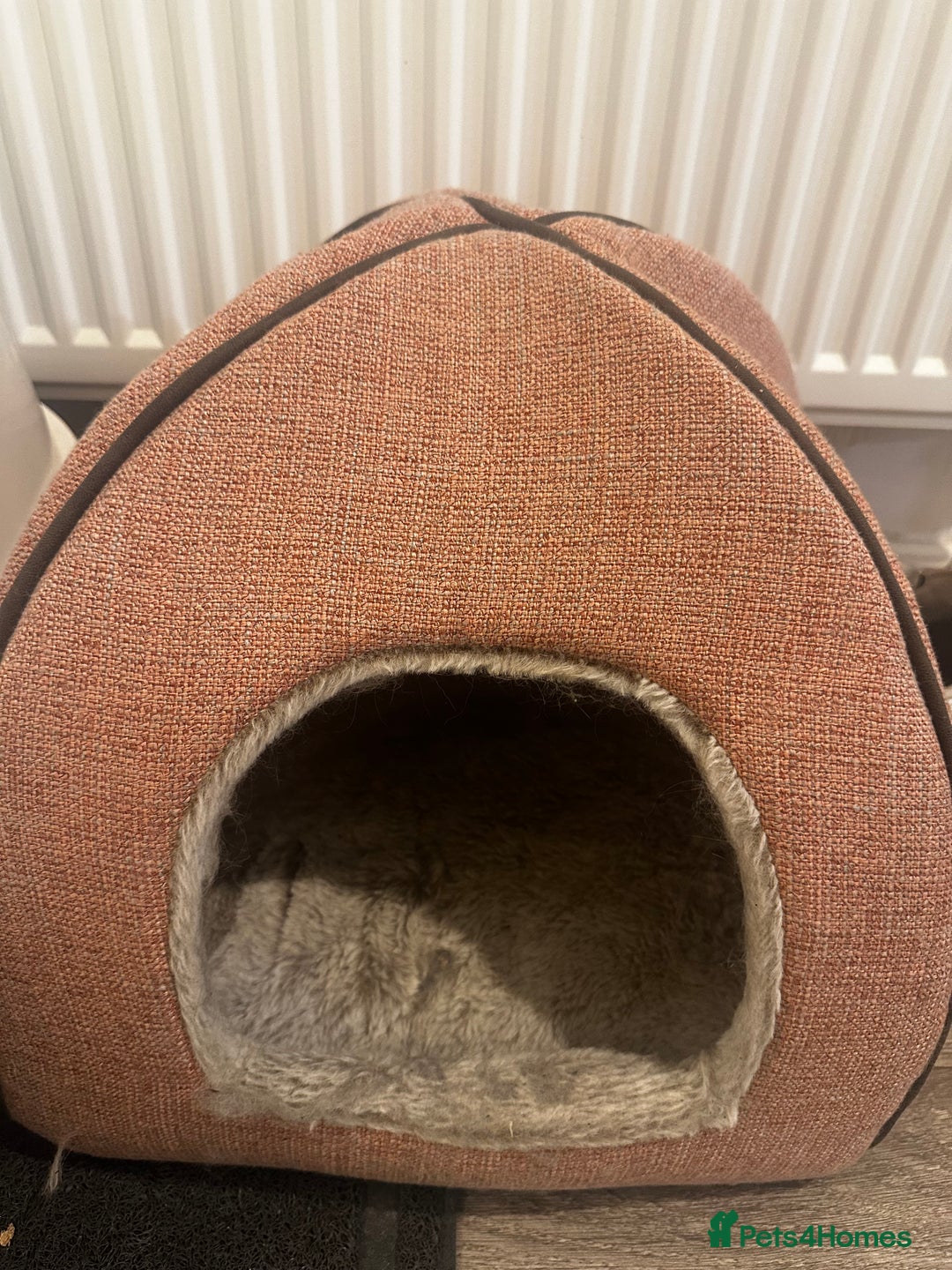 Mixed Breed cats for sale: Female Cat with everything she needs 🤍 - Advert 7