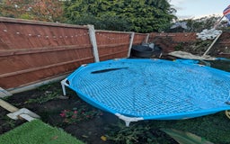 Pond Fish fish for sale: Grass carp metre long  - Image 2