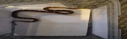 Corn Snake reptiles for sale: baby corn snakes in Great Yarmouth - Advert 7