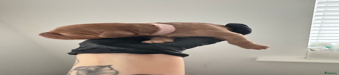 Pink (Girl)