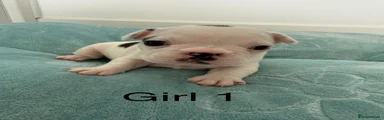 Girl 1