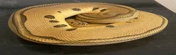 Python Snake reptiles for sale: Royal pythons for sale - Bristol - Advert 2