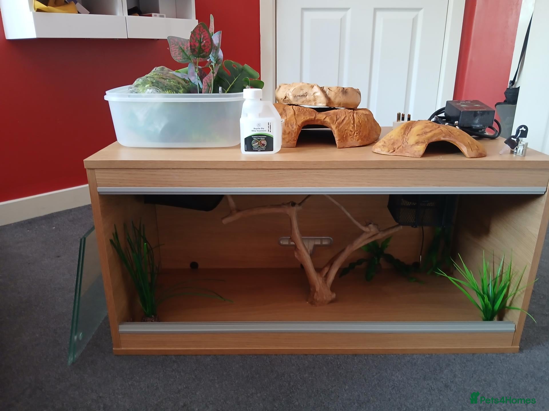 Mixed Breed reptiles Snake tank vivarium 3ft - Advert 1