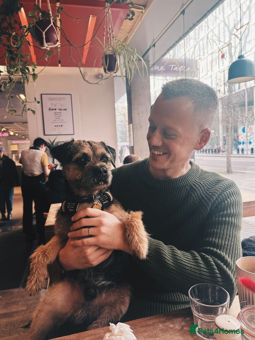 Gallery Image {{count}}