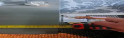 Gecko reptiles for sale: Gecko and full vivarium setup in Wigan - Advert 3
