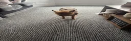 Mixed Breed dogs for sale: Rehoming peanuts 🥜  - Advert 3