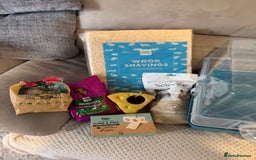 Hamster rodents for sale: Hamster cage set up with everything u need - Image 15
