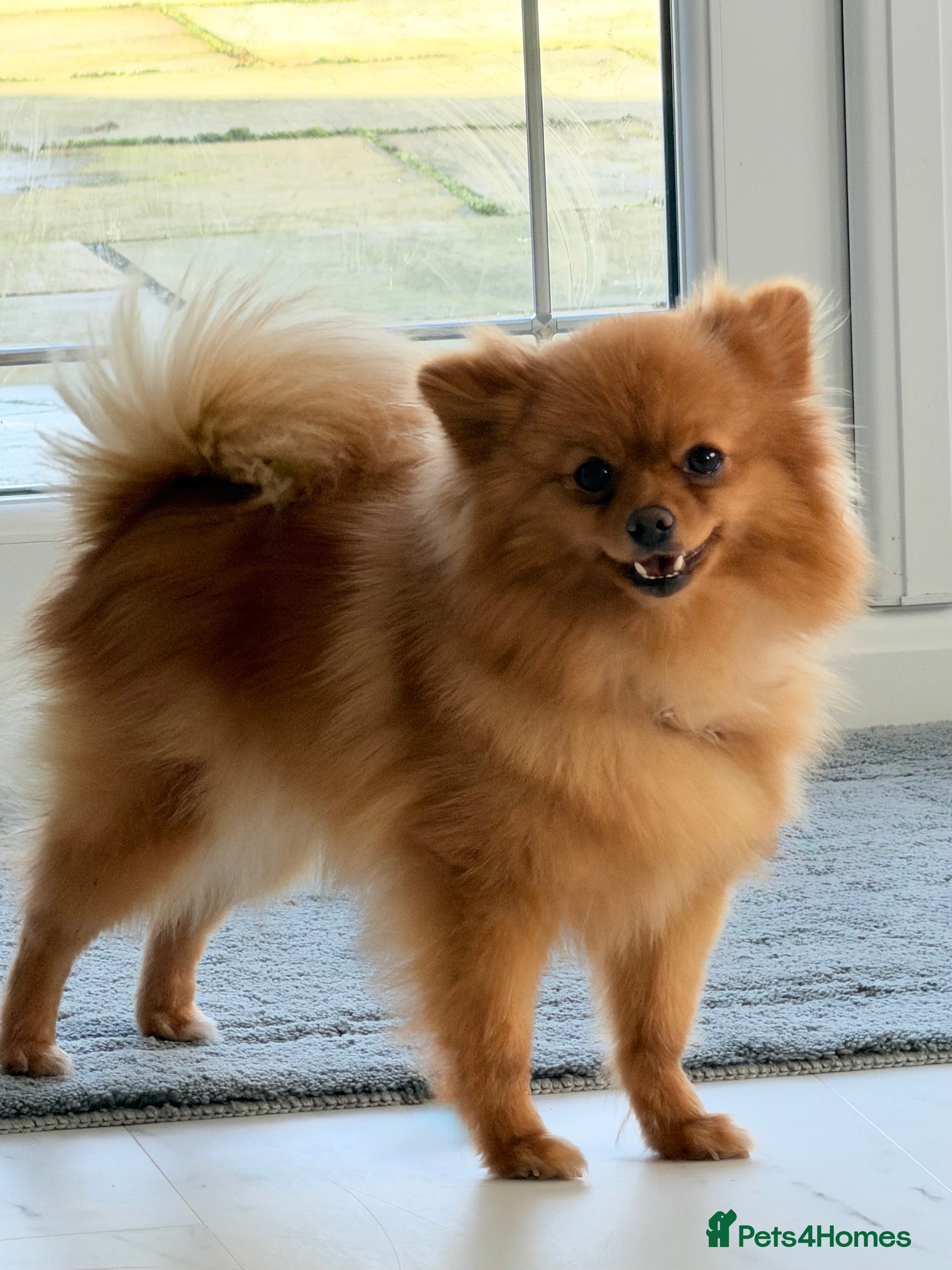 Chloe 