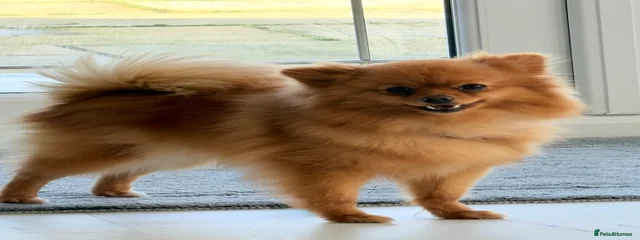 Chloe 