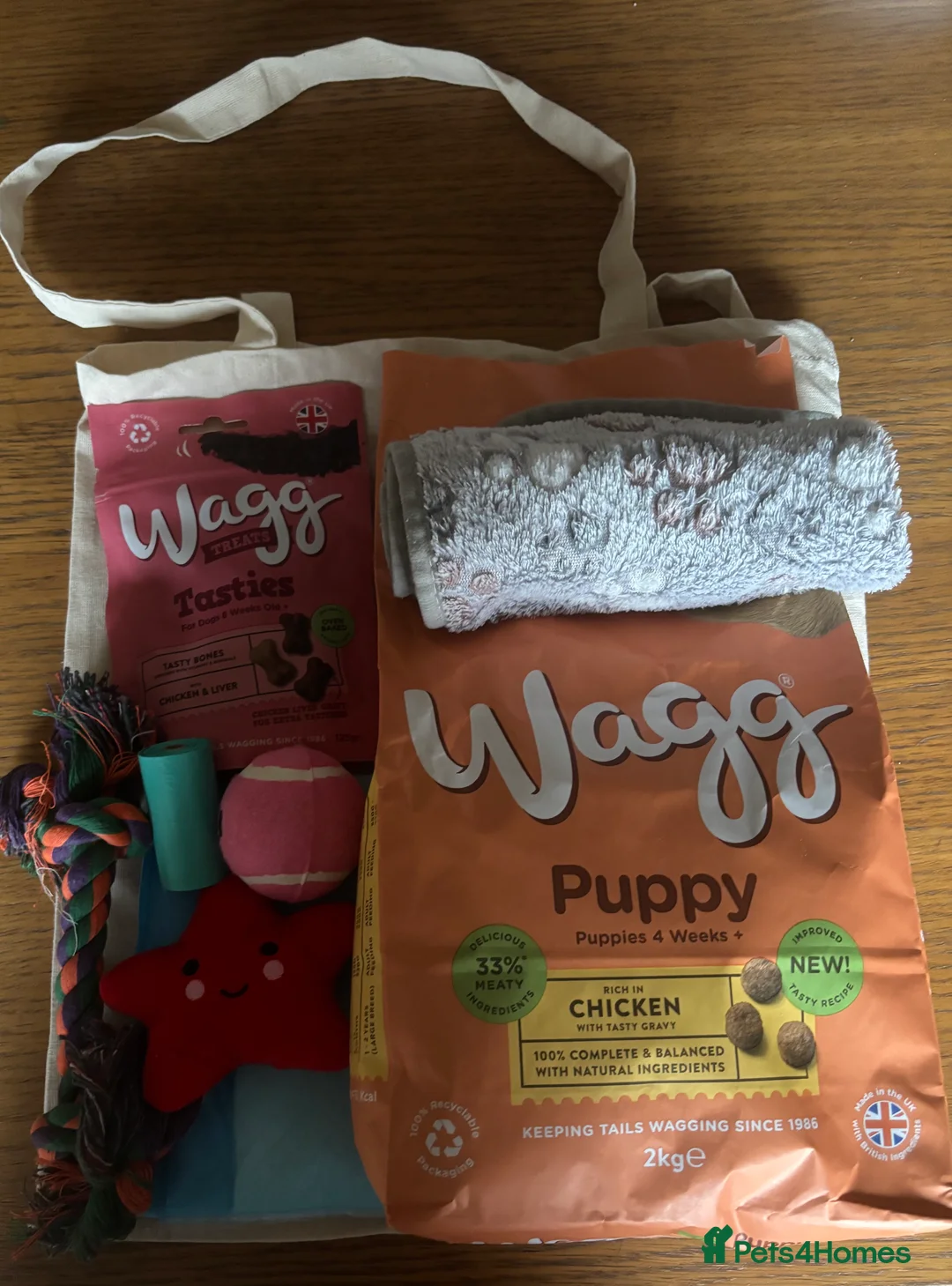 Goldador dogs for sale: Stunning Black Lab/Golden Retriever Puppies - Advert 31