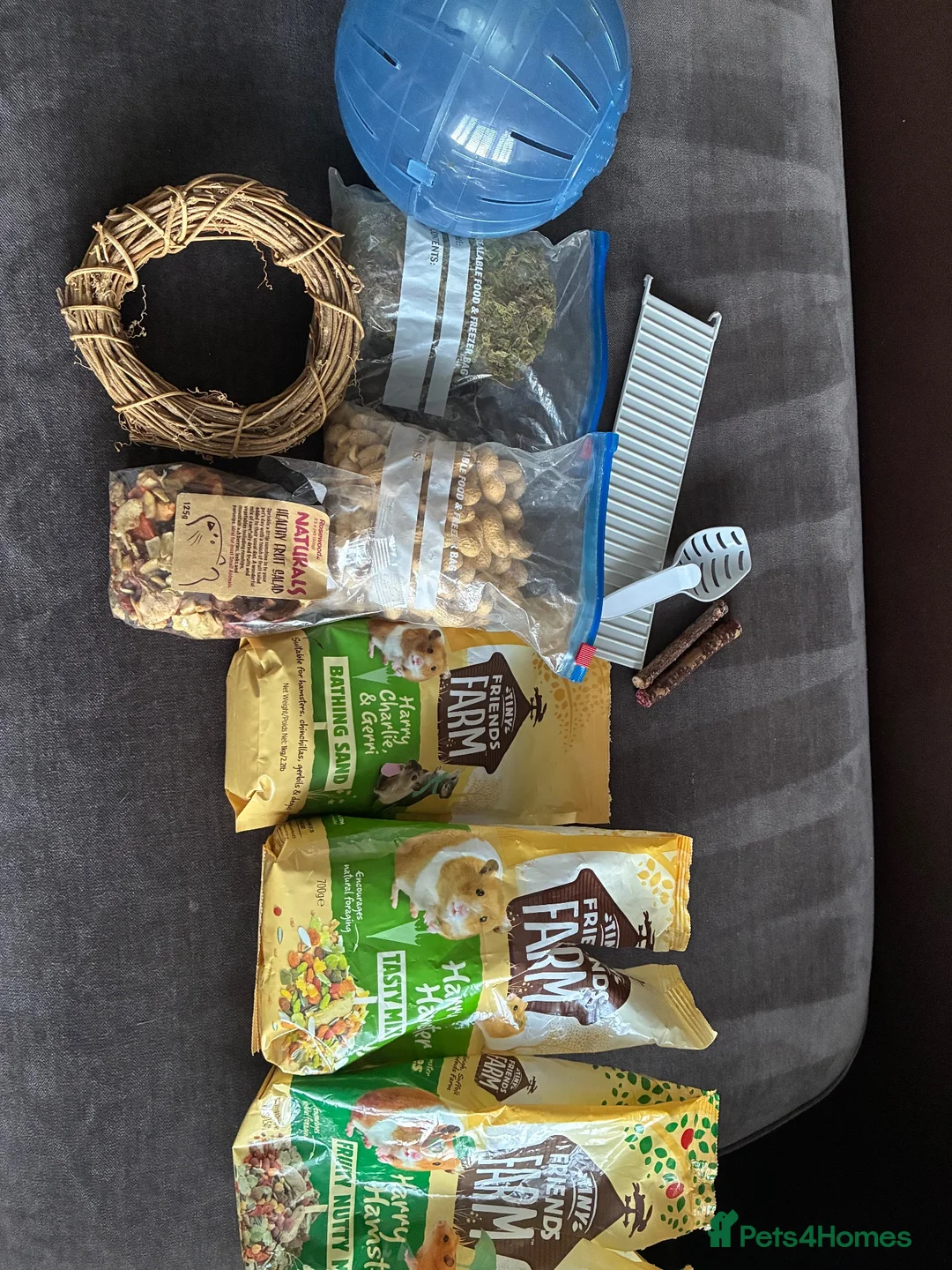 Hamster rodents for sale: Grey hamster with cage and accessories  in Liverpool - Advert 4