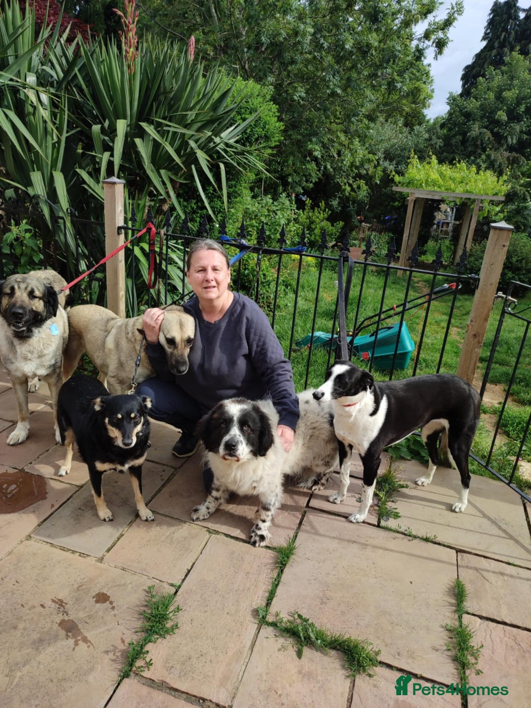 Gallery Image {{count}}