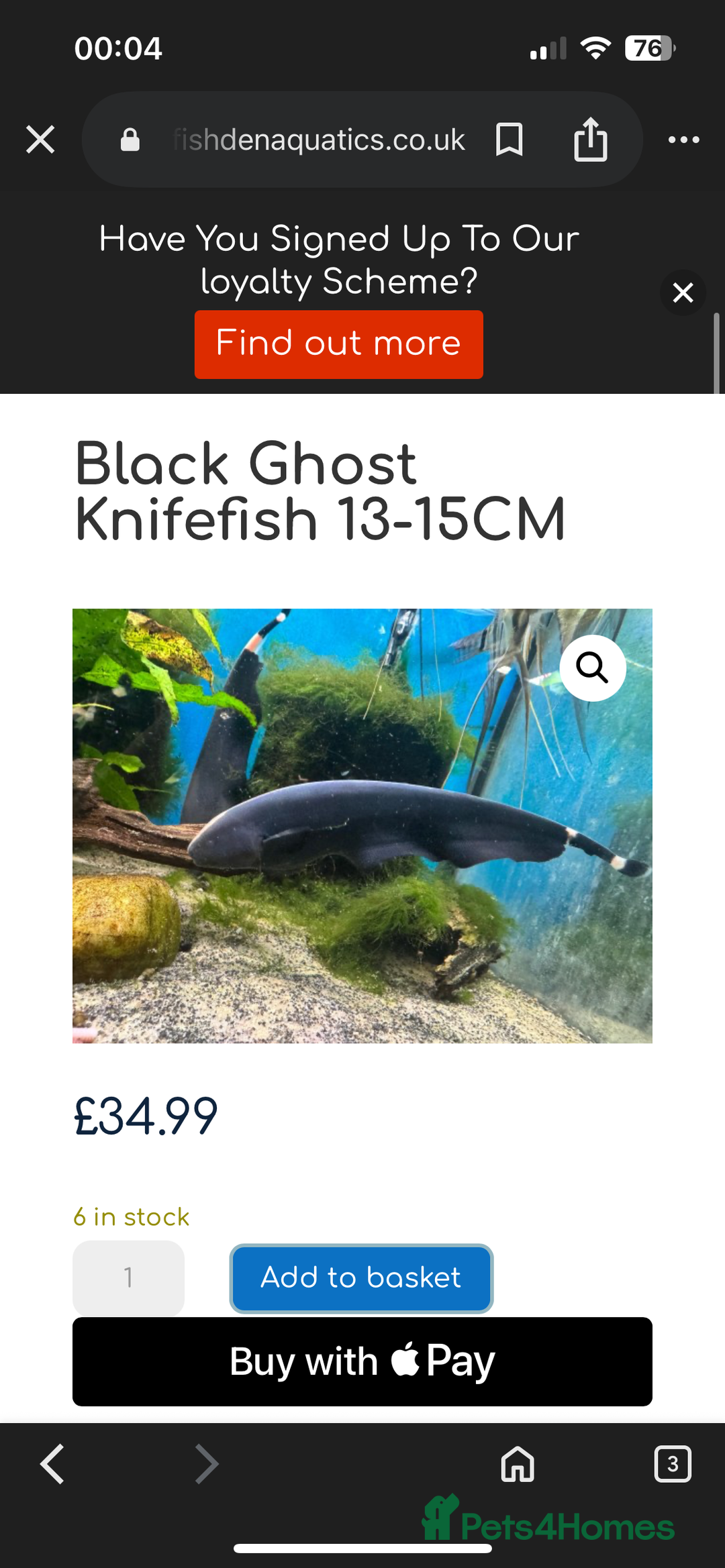Cichlids fish for sale: 420l tank set up, loads of tropical fish - Image 4