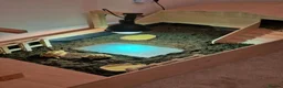 Tortoise reptiles for sale: 2 Beautiful Horsfield Tortoises & Large Enclosure in Bedford - Advert 2
