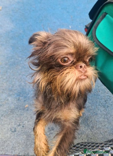 Gallery Image {{count}}