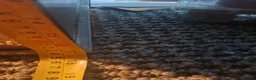 Gecko reptiles for sale: Gecko and full vivarium setup in Wigan - Advert 6