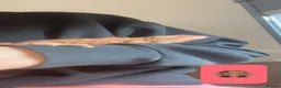 Bearded Dragon reptiles for sale: rare bearded dragon in Reading - Advert 5