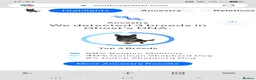 Mixed Breed dogs for stud: Ghost 3yr old gsd/Mali  in Liverpool - Advert 16