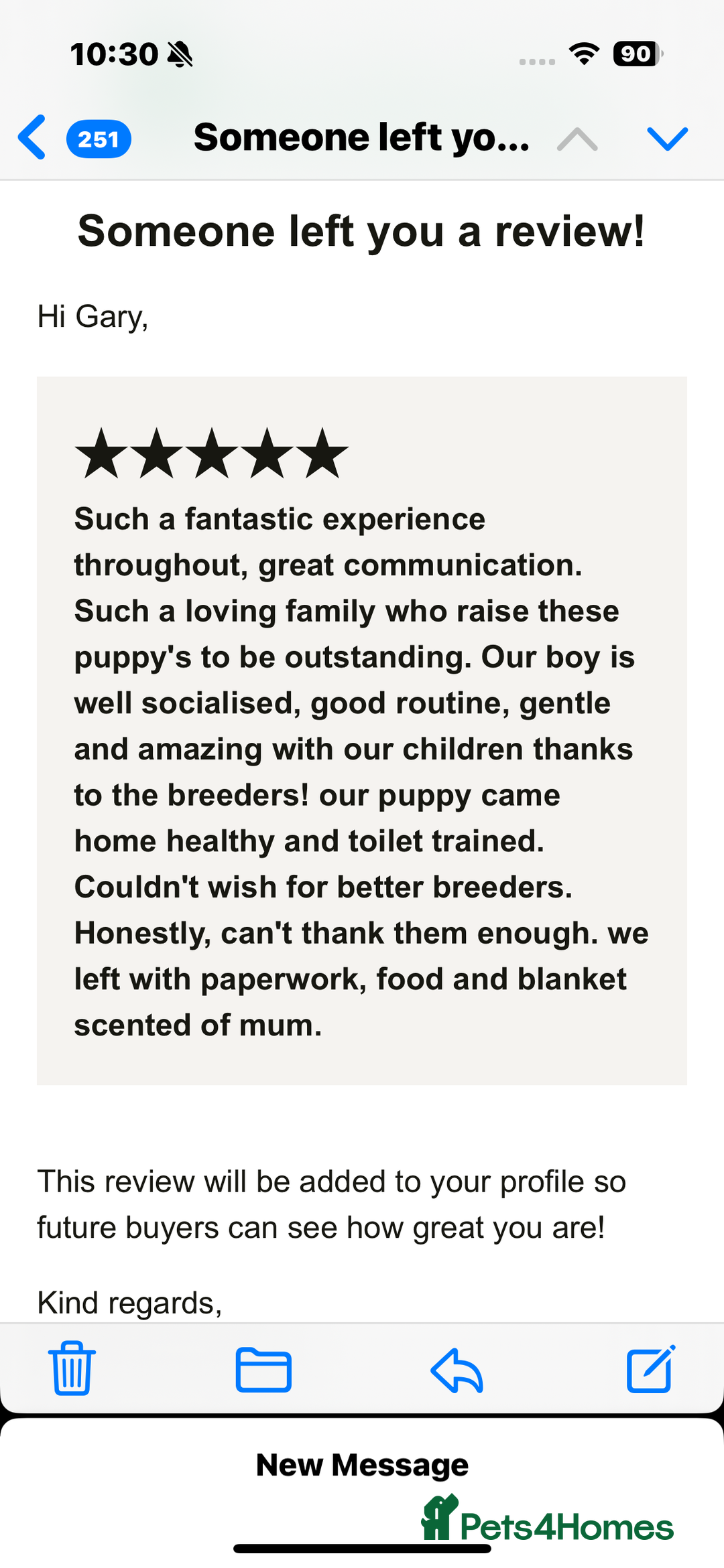 Golden Retriever dogs for sale: Health Tested, champion bloodlines Great with Kids - Advert 36