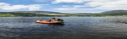 Hungarian Vizsla dogs for sale: Beautiful pedigree Hungarian vizsla litter of 9  - Advert 25
