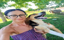 Mixed Breed dogs for adoption: Margot, 10+ yrs. Available for adoption  - Image 2