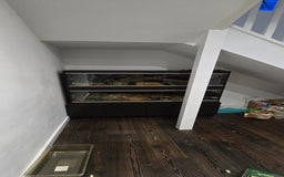 Python Snake reptiles for sale: 2 x royal ball pythons with complete set up - Image 14