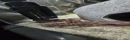 Catfish fish for sale: Hoplo Catfish and Corydora catfish in Manchester - Advert 1