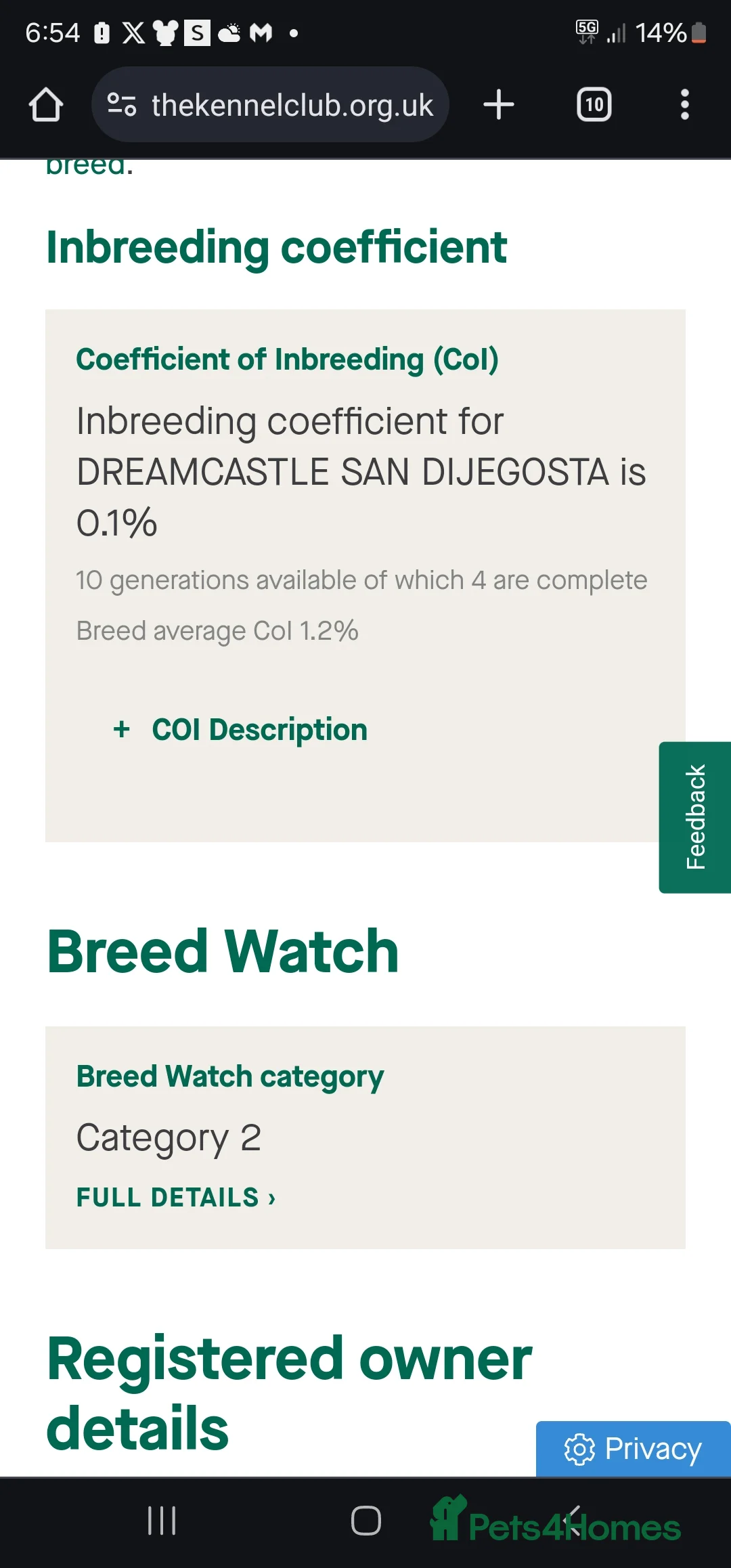 Pomeranian dogs for stud: White russian line kc reg pom  in Bedford - Advert 7