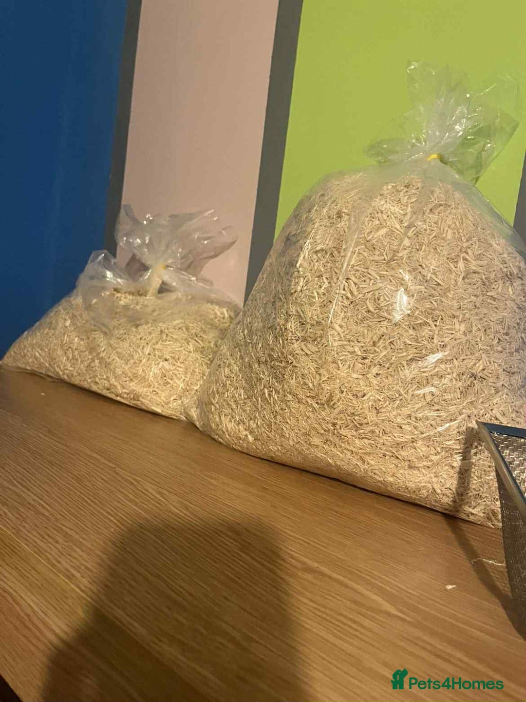 Corn Snake reptiles for sale: Corn snake and viv - Advert 4