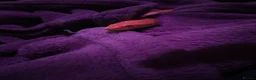 Corn Snake reptiles for sale: 5 years old corn snake in Norwich - Advert 2
