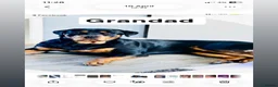 Rottweiler dogs for sale: Rottweiler puppies  - Advert 2