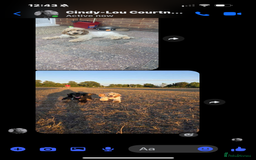 Cocker Spaniel dogs for sale: Show type cocker  - Image 8