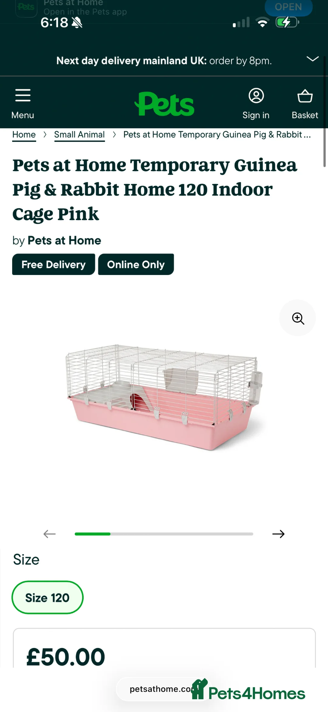 Guinea Pig rodents for sale: F GP’s + Cage & Large Hutch in Colchester - Advert 2