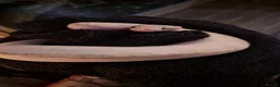 Mixed Breed reptiles for sale: Hermann tortoise and royal pythons - Advert 11