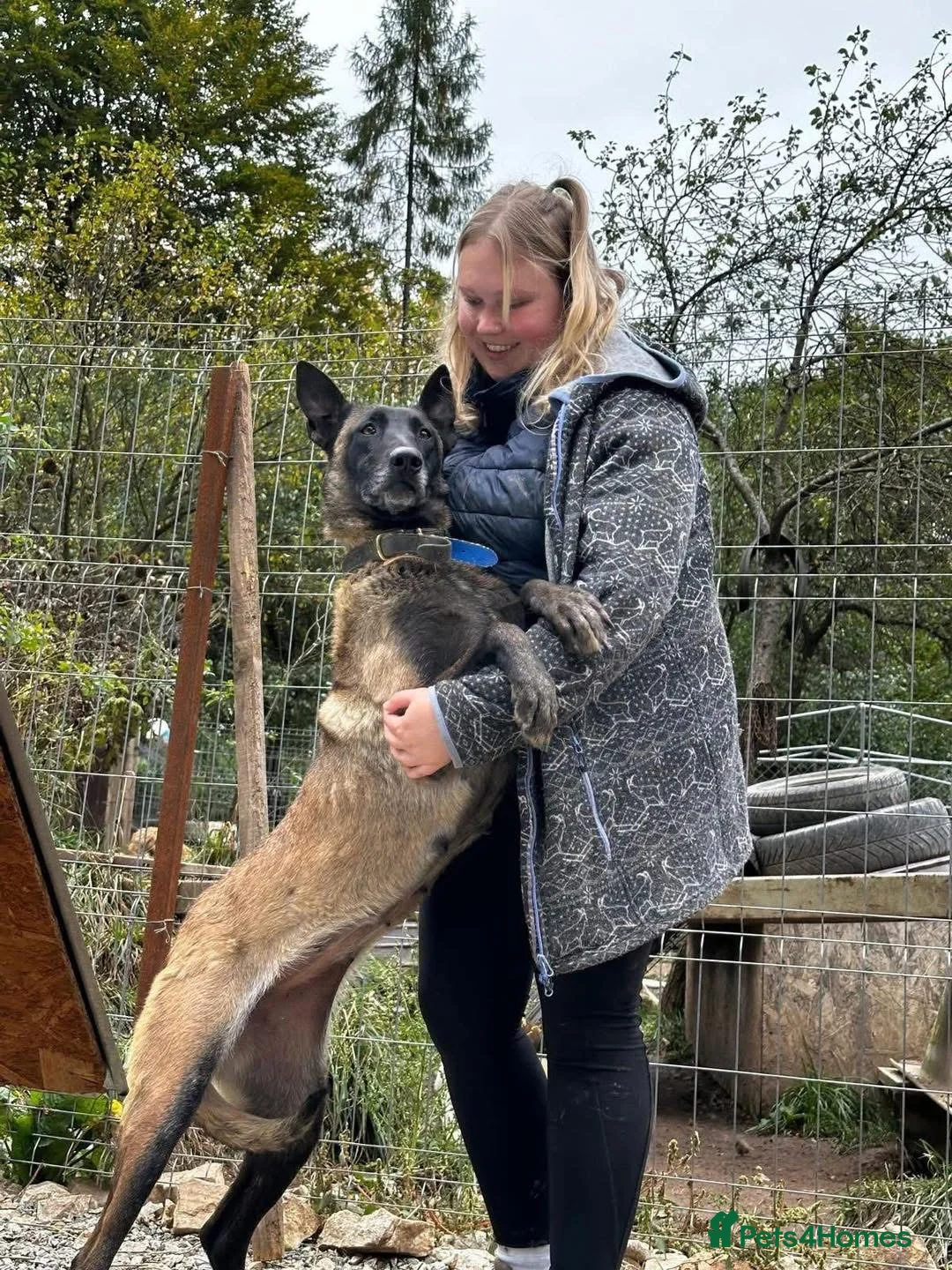 Mixed Breed dogs for adoption: Hera ❤️ - Advert 7