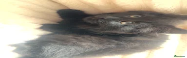 onyx