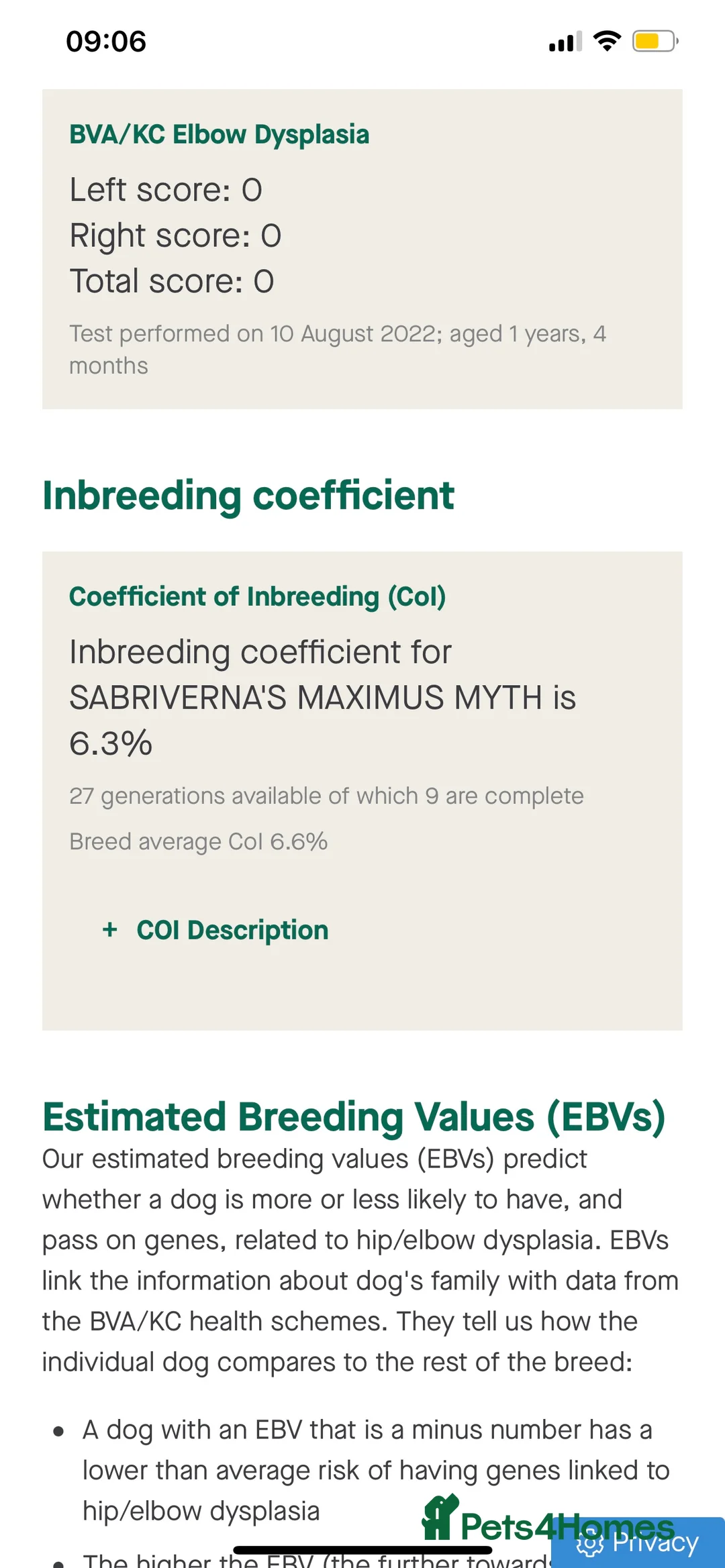 Labrador Retriever dogs for stud: fox Red extensively health tested 0-0 hips in Swansea - Advert 7