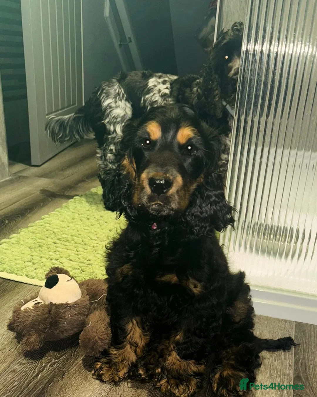 Gallery Image {{count}}