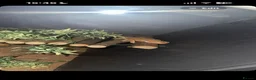 Bearded Dragon reptiles for sale: Bearded Dragon (Female) in Wallsend - Advert 3