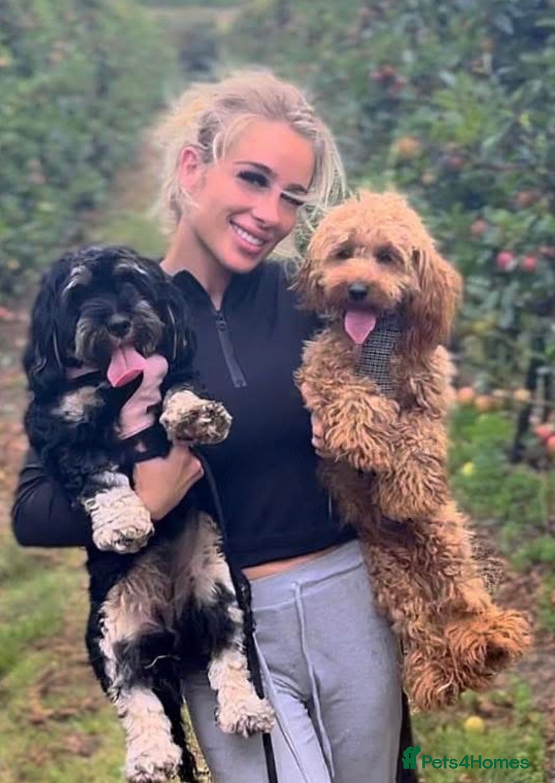 Gallery Image {{count}}