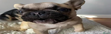 Cruz