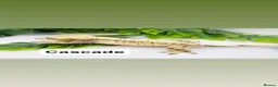 Gecko reptiles for sale: Updated Mixed crested geckos  - Advert 2